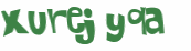 Desafio captcha