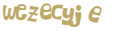 Wyzwanie captcha