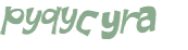 CAPTCHA 挑戰