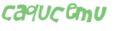Captcha 챌린지
