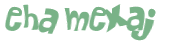 CAPTCHA 挑戰