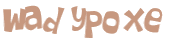 CAPTCHA 挑戰