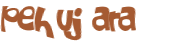 Captcha-test