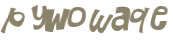 CAPTCHA 挑戰