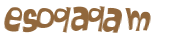 Captcha挑战