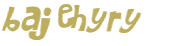 CAPTCHA 挑戰