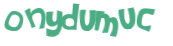 Captcha 챌린지