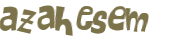 CAPTCHA 挑戰