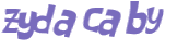 Captcha挑战