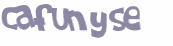 CAPTCHA 挑戰
