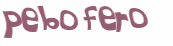 Desafio captcha