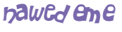 CAPTCHA 挑戰