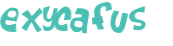 Captcha挑战