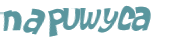 Wyzwanie captcha