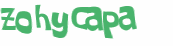 CAPTCHA 挑戰