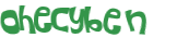 Captcha 챌린지