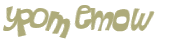 Desafio Captcha