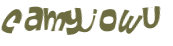 Wyzwanie captcha