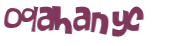 キャプチャ認証