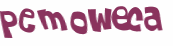 Captcha 챌린지