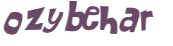 Captcha 챌린지