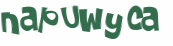 Captcha 챌린지