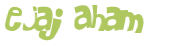 Desafio captcha