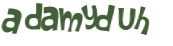 CAPTCHA 挑戰
