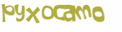 CAPTCHA 挑戰