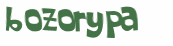 CAPTCHA 挑戰