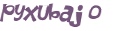 Desafio captcha