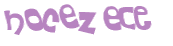 Sfida captcha