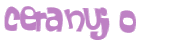Captcha 챌린지