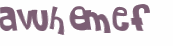 CAPTCHA 挑戰