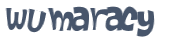 Wyzwanie captcha