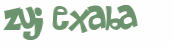 Sfida captcha