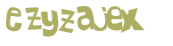 Captcha-Test