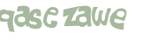 CAPTCHA 挑戰