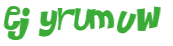 Captcha-Test
