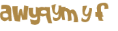 Wyzwanie captcha
