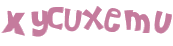 CAPTCHA 挑戰