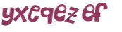 CAPTCHA 挑戰