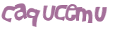 Desafio Captcha