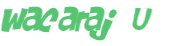 CAPTCHA 挑戰