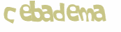 Captcha-test