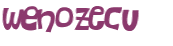 CAPTCHA 挑戰
