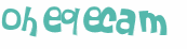 Captcha 챌린지