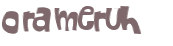 Captcha 챌린지