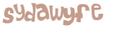 Sfida captcha