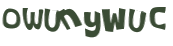 CAPTCHA 挑戰